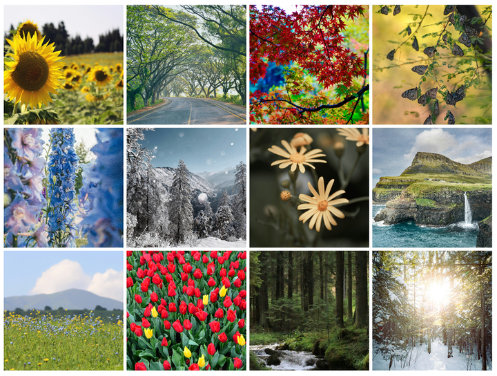 How to display a grid of images